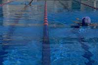 Swimming coaching Swimming coaching
